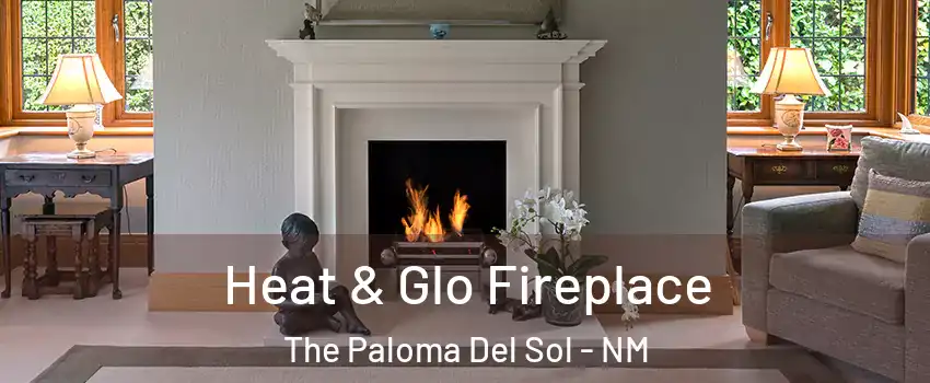 Heat & Glo Fireplace The Paloma Del Sol - NM