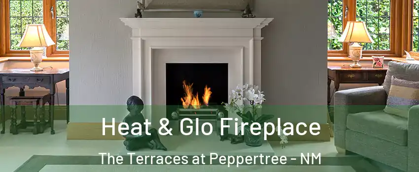 Heat & Glo Fireplace The Terraces at Peppertree - NM