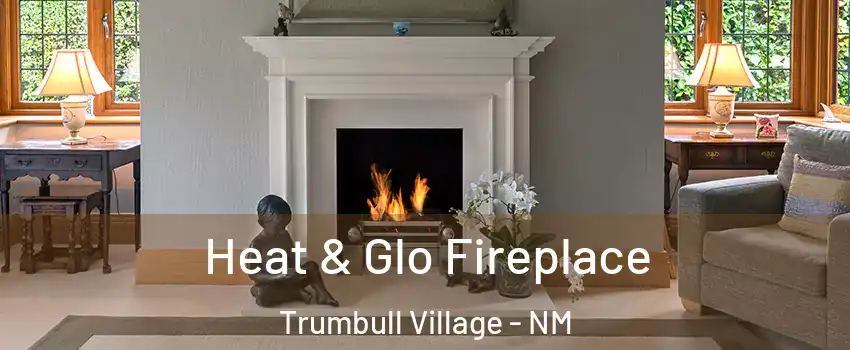 Heat & Glo Fireplace Trumbull Village - NM