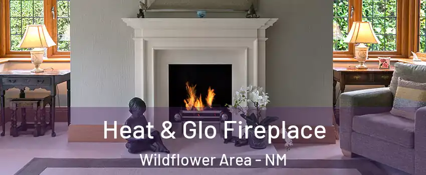 Heat & Glo Fireplace Wildflower Area - NM