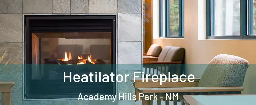 Heatilator Fireplace Academy Hills Park - NM
