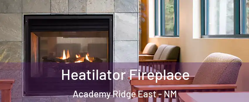 Heatilator Fireplace Academy Ridge East - NM