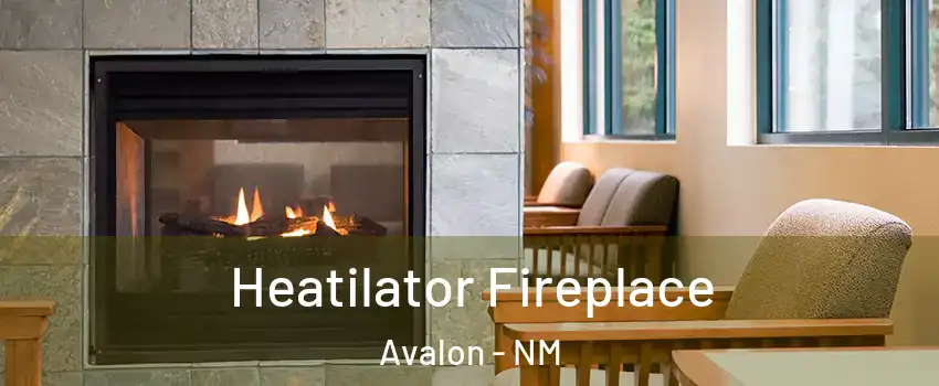 Heatilator Fireplace Avalon - NM