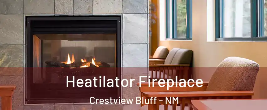 Heatilator Fireplace Crestview Bluff - NM
