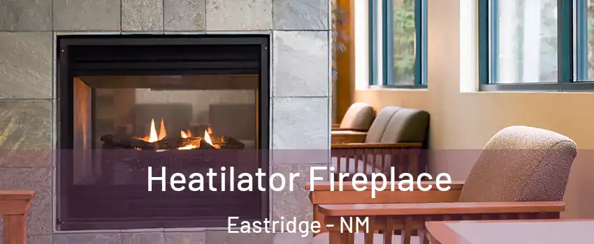 Heatilator Fireplace Eastridge - NM
