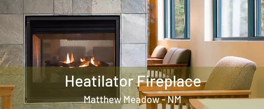 Heatilator Fireplace Matthew Meadow - NM