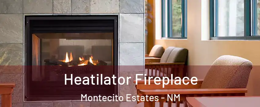 Heatilator Fireplace Montecito Estates - NM