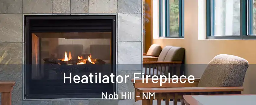 Heatilator Fireplace Nob Hill - NM