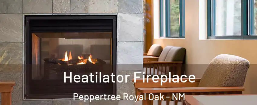 Heatilator Fireplace Peppertree Royal Oak - NM