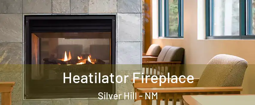 Heatilator Fireplace Silver Hill - NM