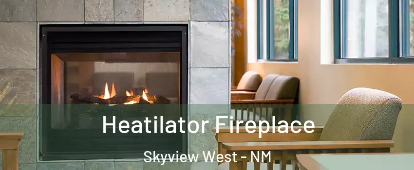 Heatilator Fireplace Skyview West - NM