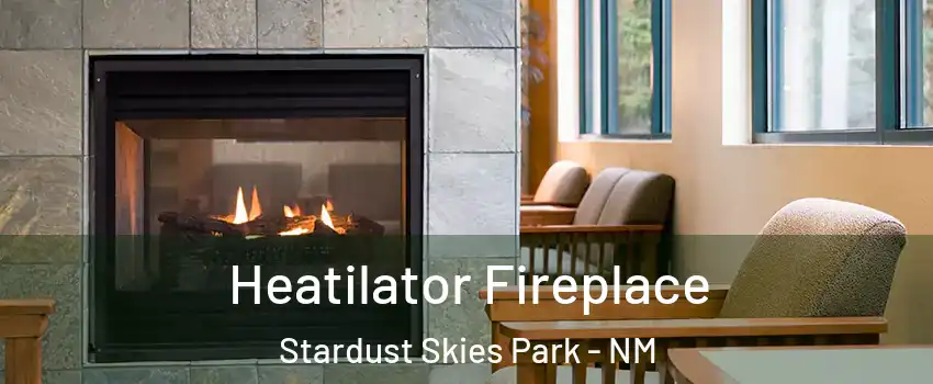 Heatilator Fireplace Stardust Skies Park - NM