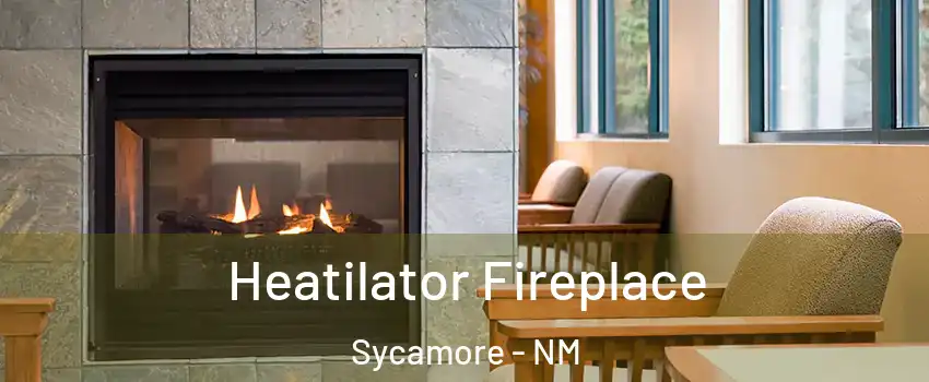 Heatilator Fireplace Sycamore - NM