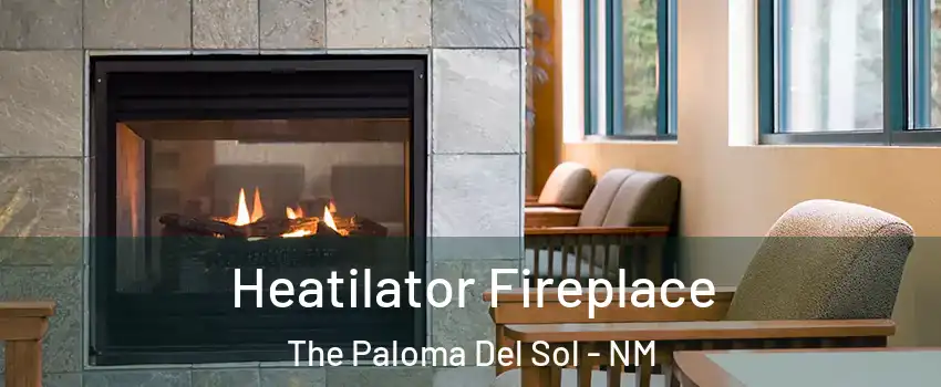 Heatilator Fireplace The Paloma Del Sol - NM