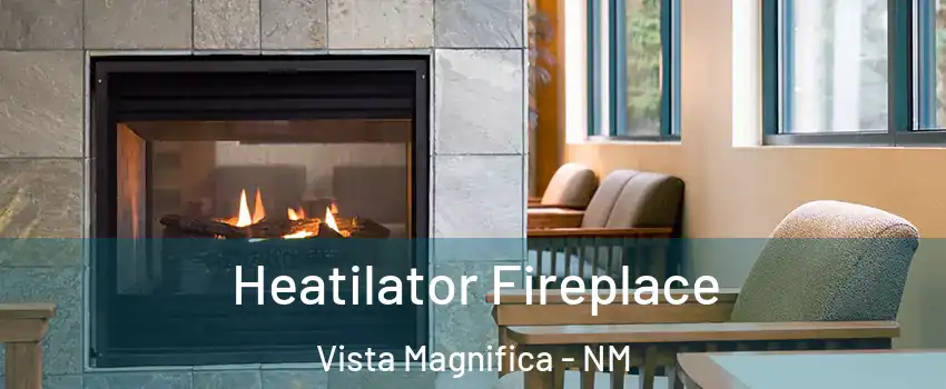 Heatilator Fireplace Vista Magnifica - NM