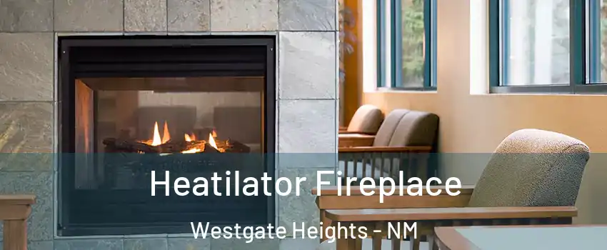 Heatilator Fireplace Westgate Heights - NM