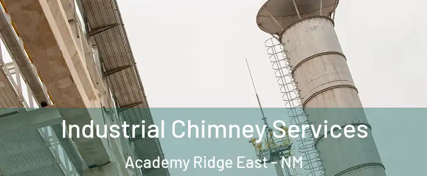 Industrial Chimney Services Academy Ridge East - NM