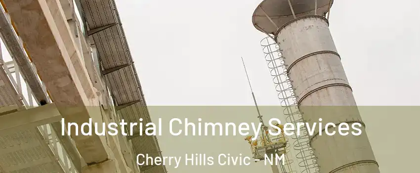 Industrial Chimney Services Cherry Hills Civic - NM