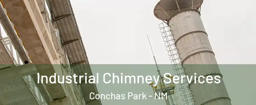 Industrial Chimney Services Conchas Park - NM