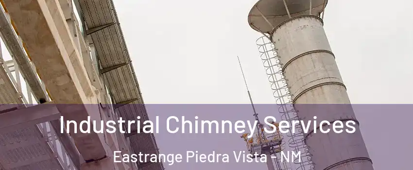 Industrial Chimney Services Eastrange Piedra Vista - NM
