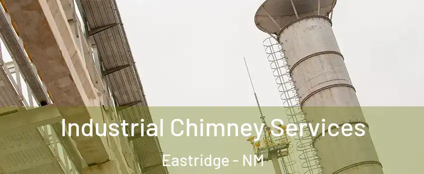 Industrial Chimney Services Eastridge - NM