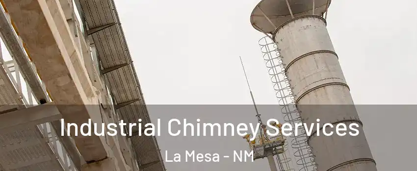 Industrial Chimney Services La Mesa - NM