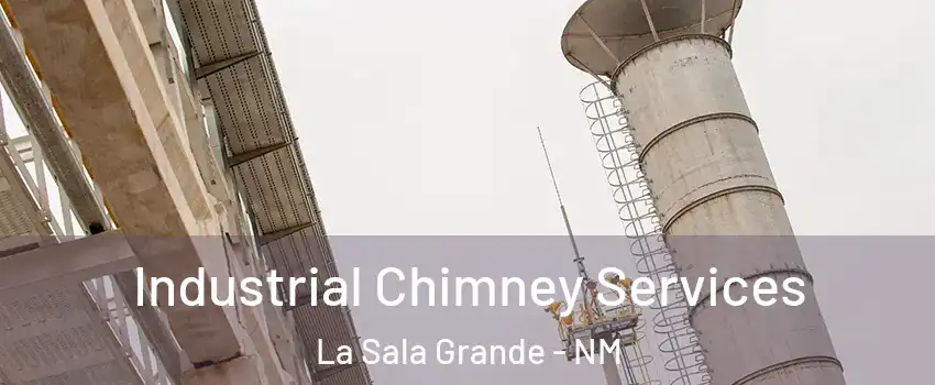 Industrial Chimney Services La Sala Grande - NM
