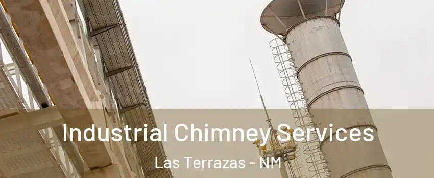 Industrial Chimney Services Las Terrazas - NM