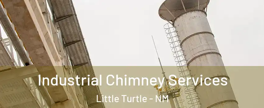 Industrial Chimney Services Little Turtle - NM