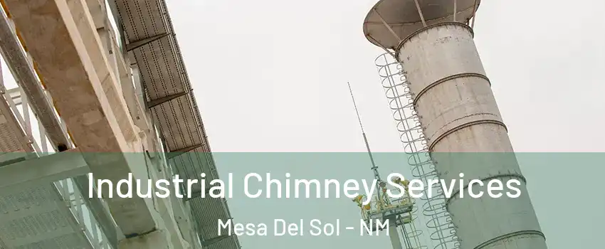 Industrial Chimney Services Mesa Del Sol - NM