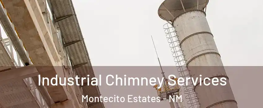 Industrial Chimney Services Montecito Estates - NM