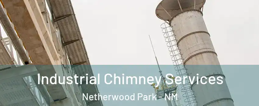 Industrial Chimney Services Netherwood Park - NM