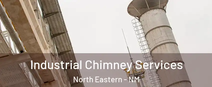 Industrial Chimney Services North Eastern - NM