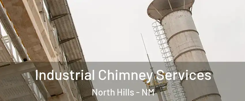 Industrial Chimney Services North Hills - NM