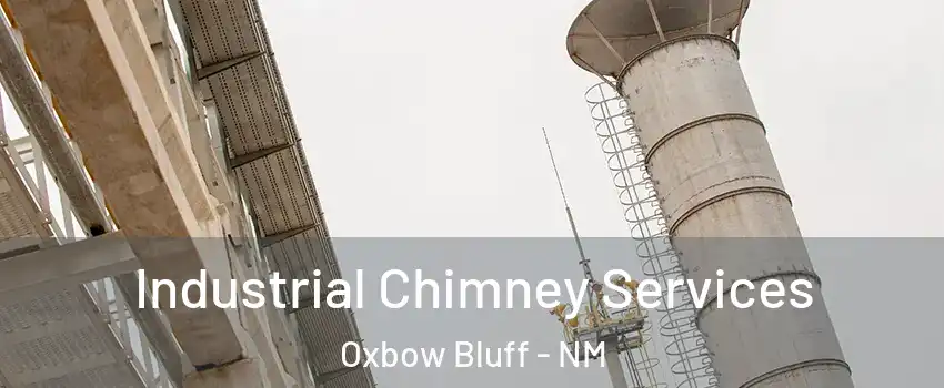 Industrial Chimney Services Oxbow Bluff - NM