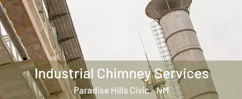 Industrial Chimney Services Paradise Hills Civic - NM
