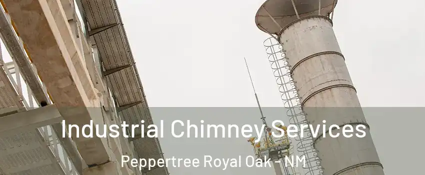 Industrial Chimney Services Peppertree Royal Oak - NM