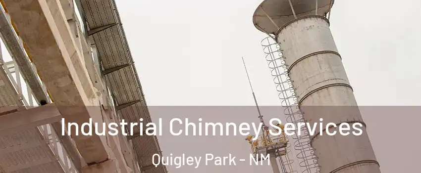 Industrial Chimney Services Quigley Park - NM