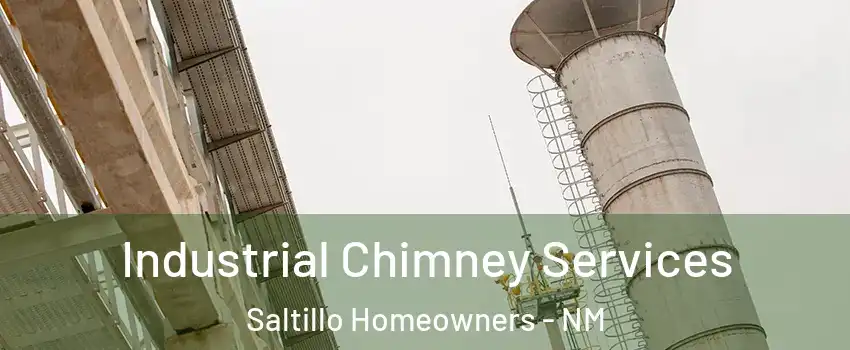 Industrial Chimney Services Saltillo Homeowners - NM