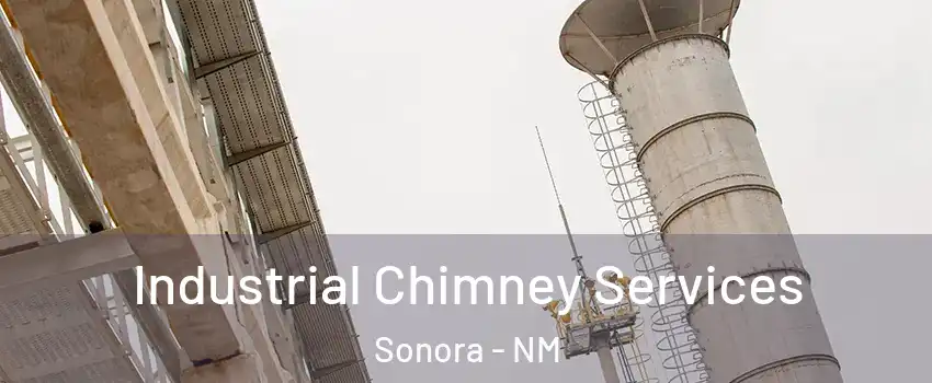 Industrial Chimney Services Sonora - NM