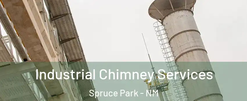 Industrial Chimney Services Spruce Park - NM