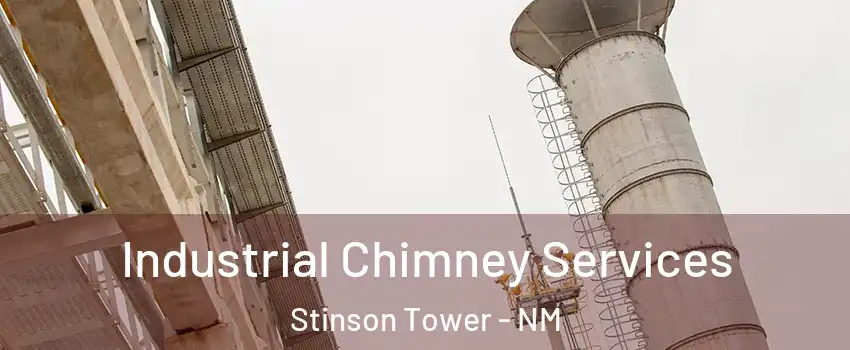 Industrial Chimney Services Stinson Tower - NM