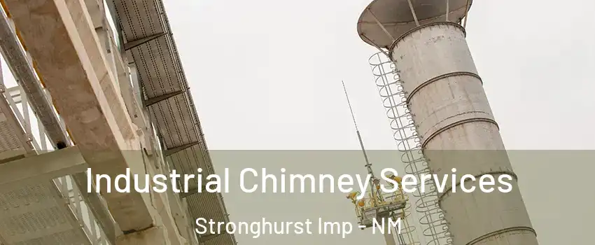 Industrial Chimney Services Stronghurst Imp - NM