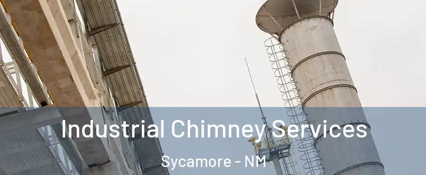 Industrial Chimney Services Sycamore - NM