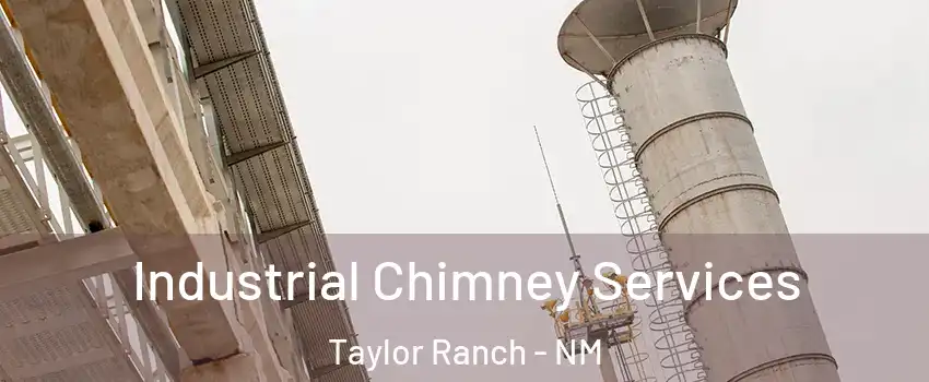 Industrial Chimney Services Taylor Ranch - NM
