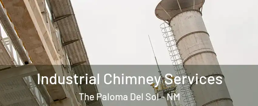 Industrial Chimney Services The Paloma Del Sol - NM
