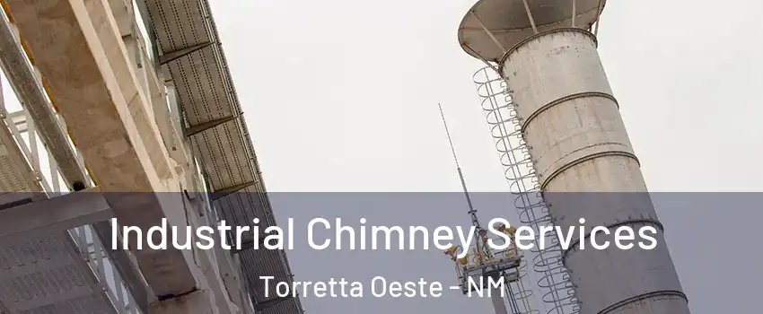Industrial Chimney Services Torretta Oeste - NM