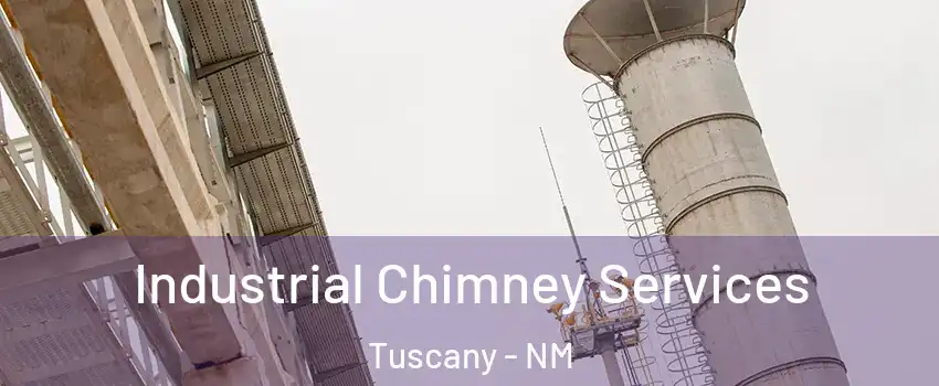 Industrial Chimney Services Tuscany - NM
