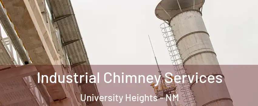 Industrial Chimney Services University Heights - NM