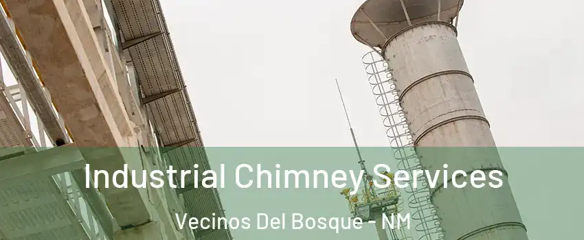 Industrial Chimney Services Vecinos Del Bosque - NM